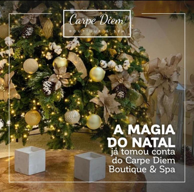 Hotel Apto Carpe Diem 4*